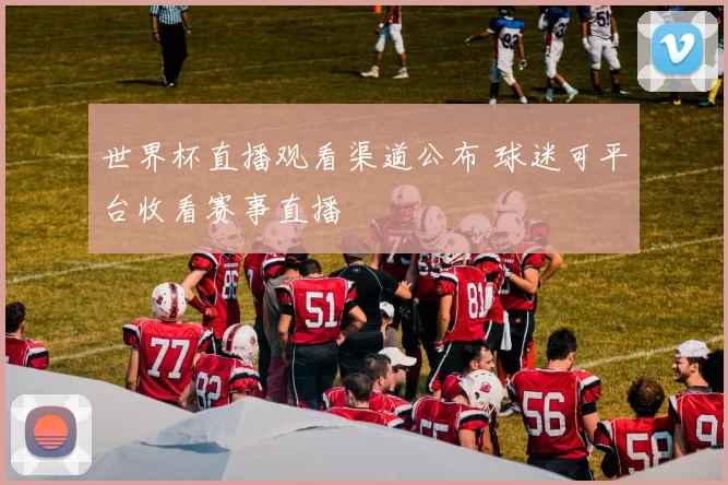 世界杯直播观看渠道公布 球迷可平台收看赛事直播