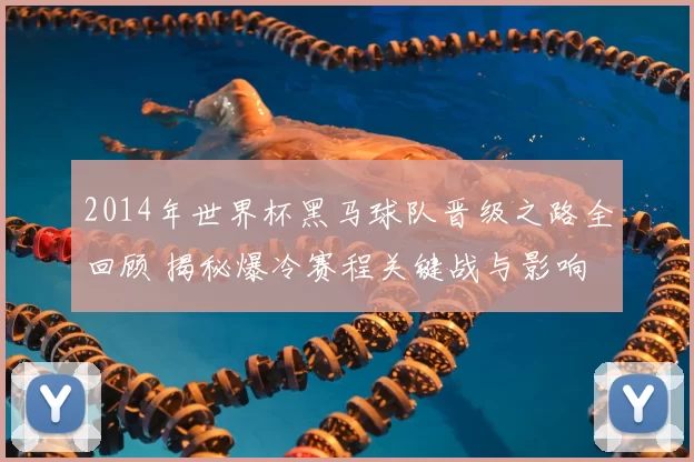2014年世界杯黑马球队晋级之路全回顾 揭秘爆冷赛程关键战与影响
